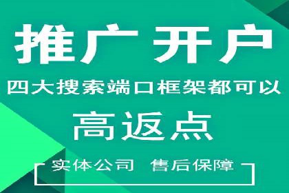 成功企业SEM竞价代运营案例研究